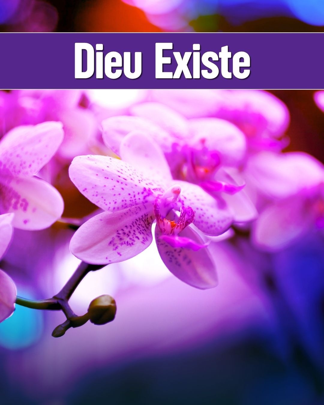 Dieu Existe