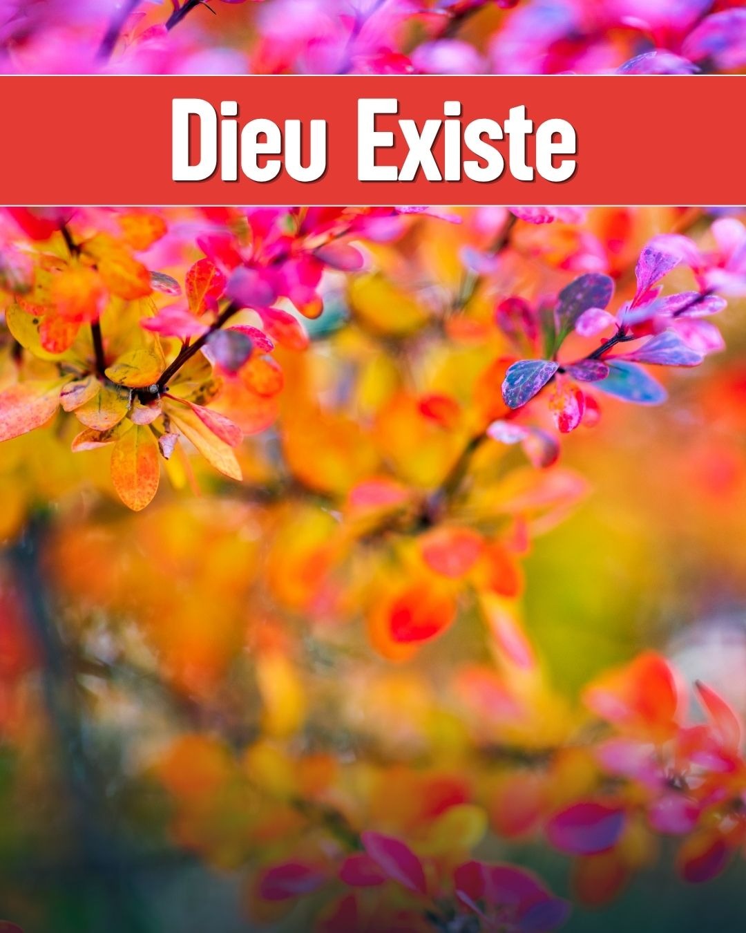 Dieu Existe