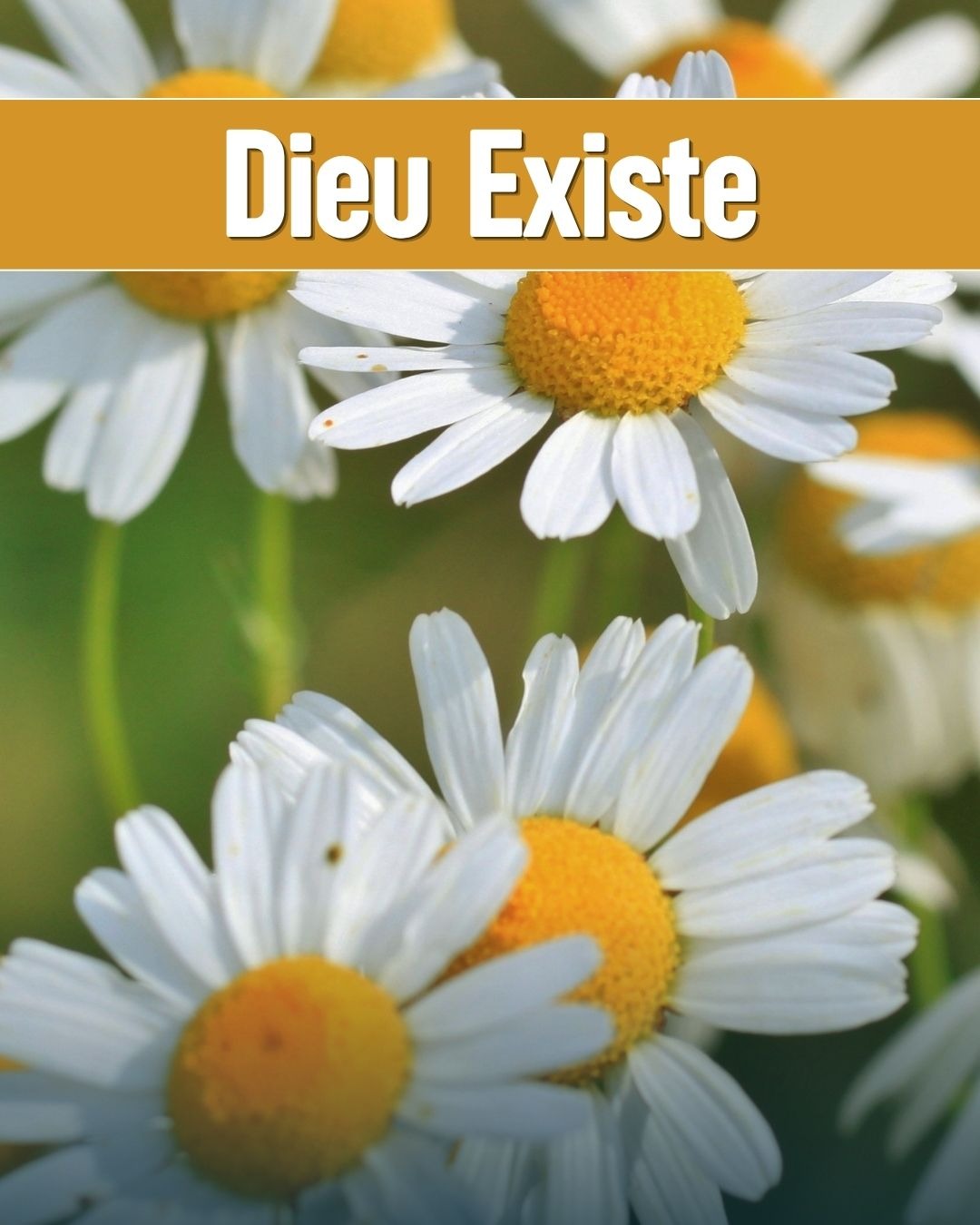 Dieu Existe