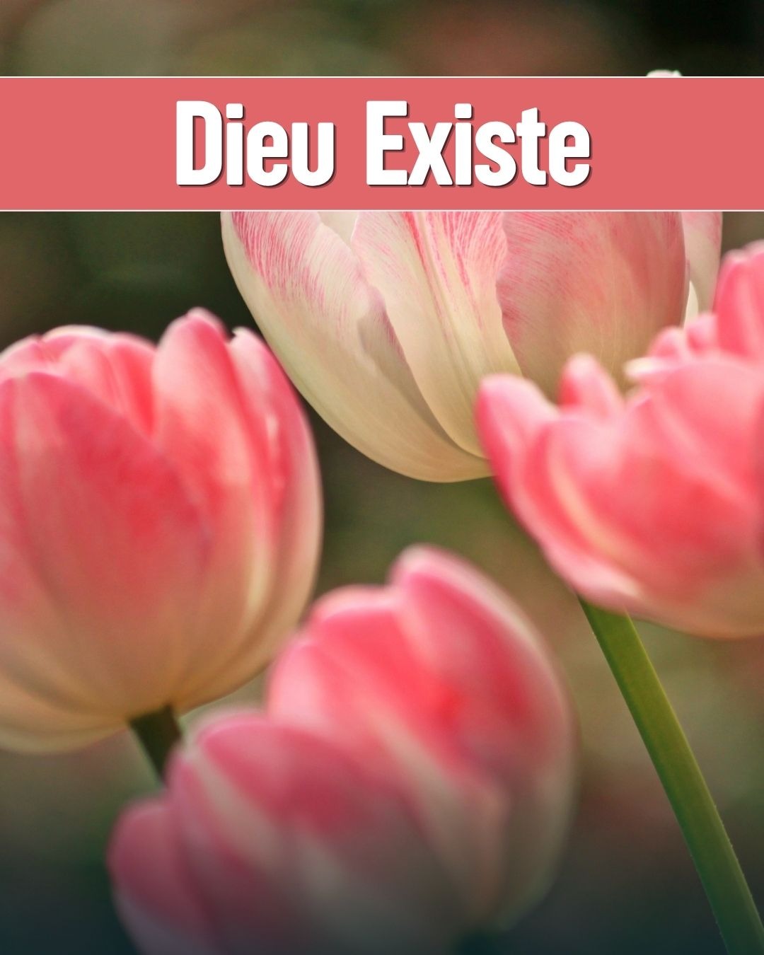 Dieu Existe
