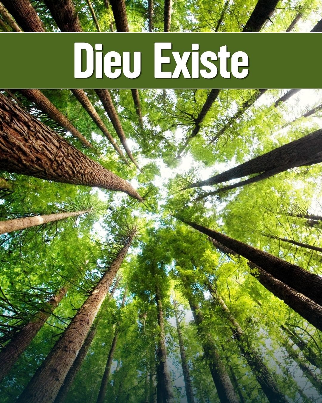 Dieu Existe