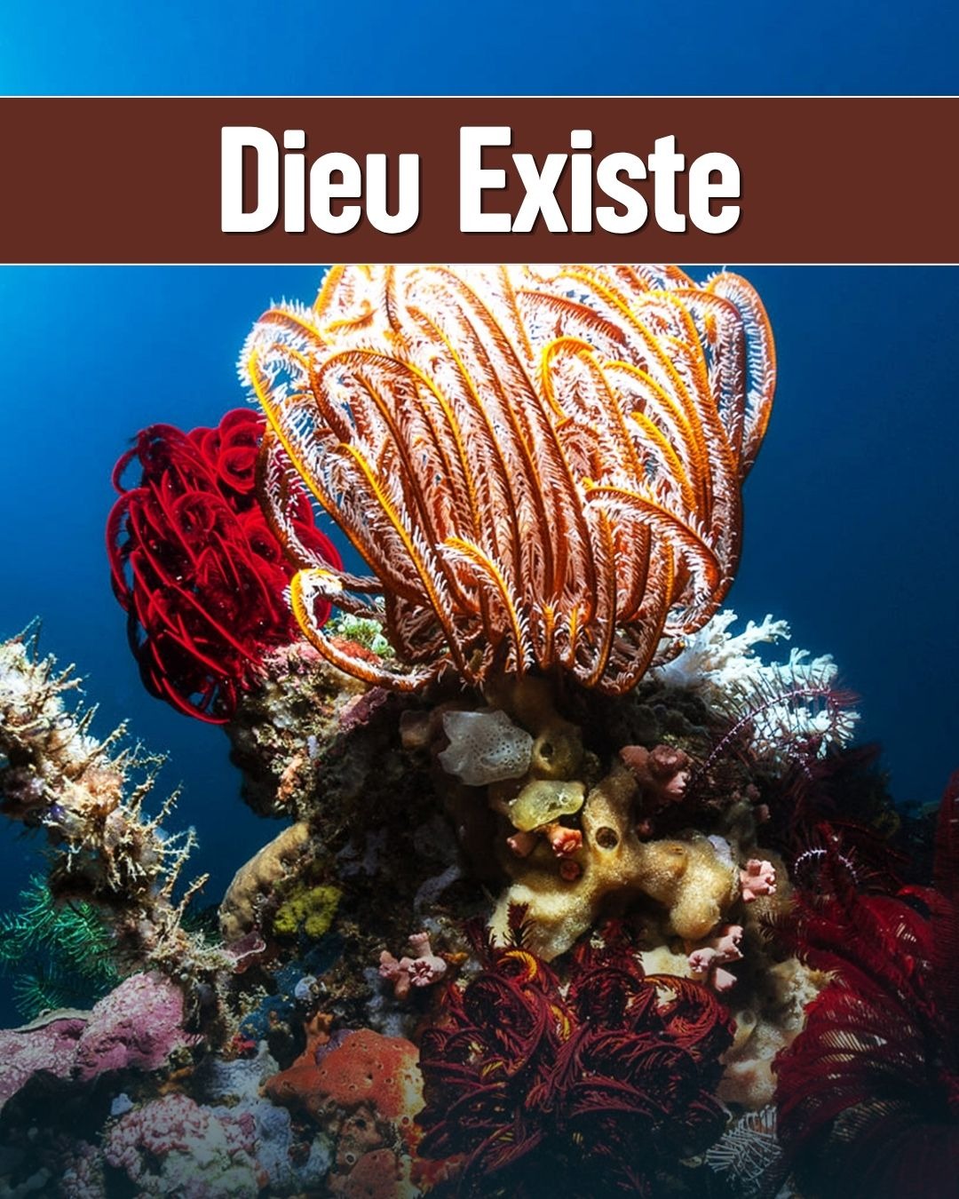 Dieu Existe