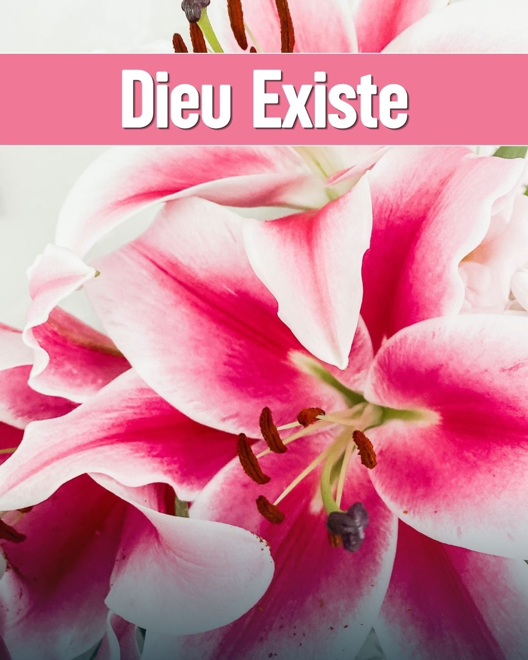 Dieu Existe