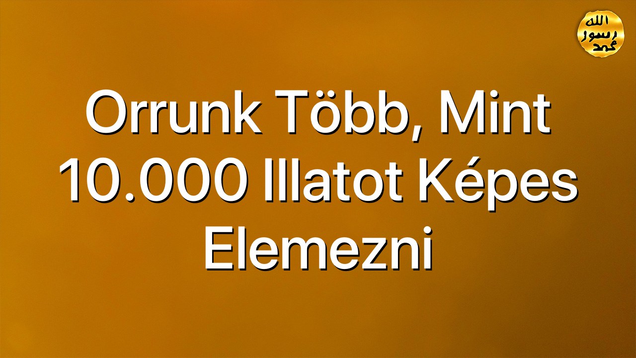 Orrunk több, mint 10.000 illatot képes elemezni
