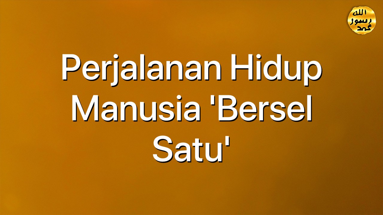 Perjalanan Hidup Manusia 'Bersel Satu'
