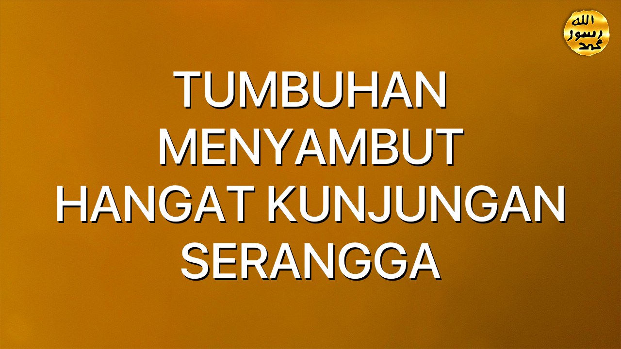 TUMBUHAN MENYAMBUT HANGAT KUNJUNGAN SERANGGA