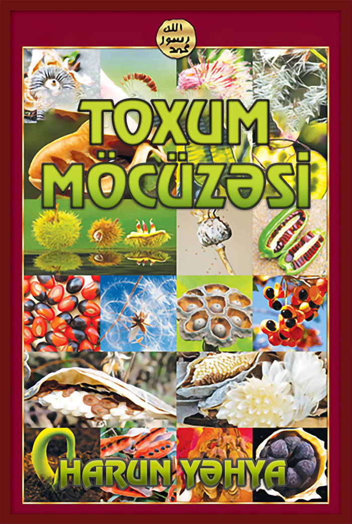 Toxum Möcüzəsi