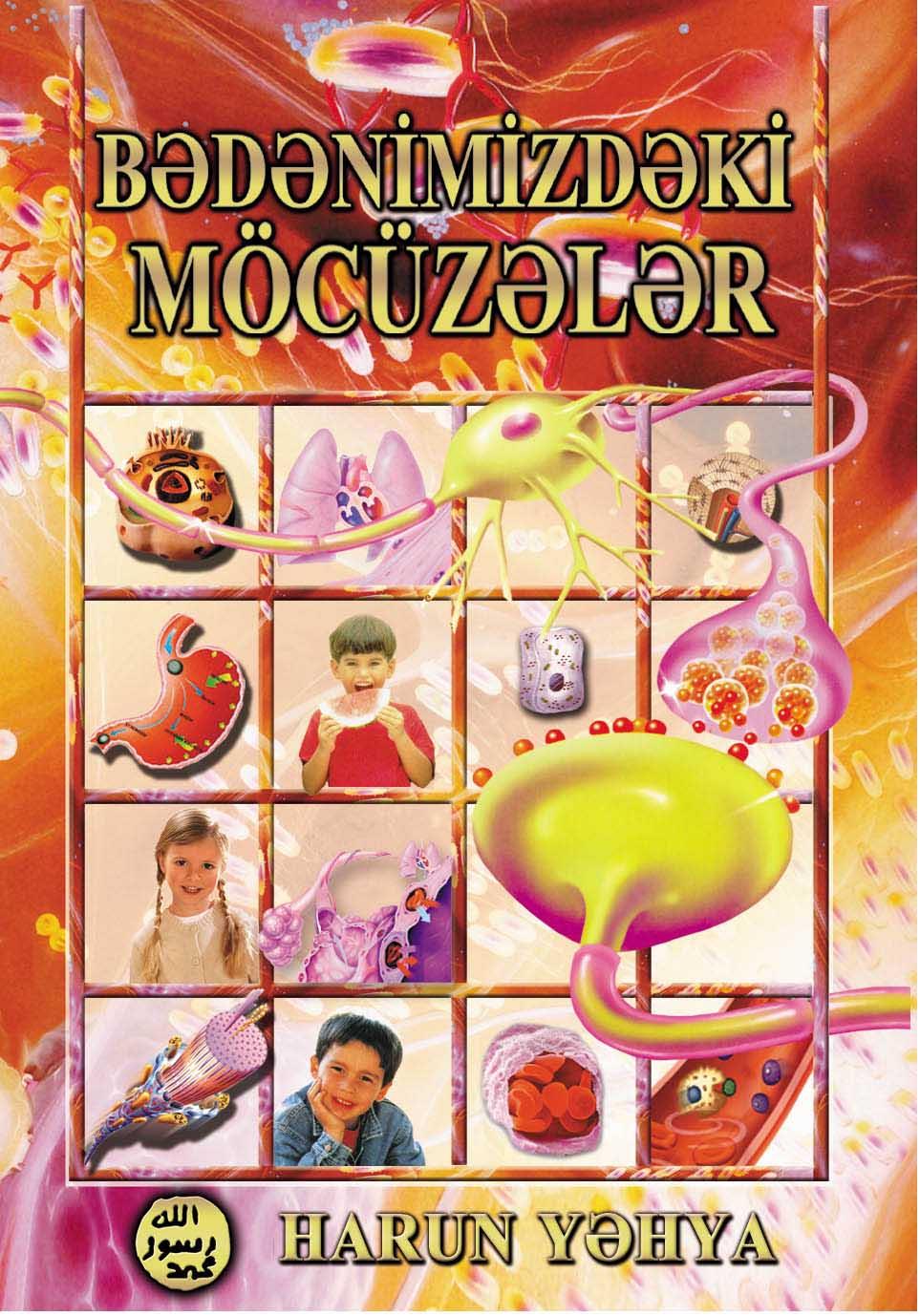 Bədənimizdəki Möcüzələr