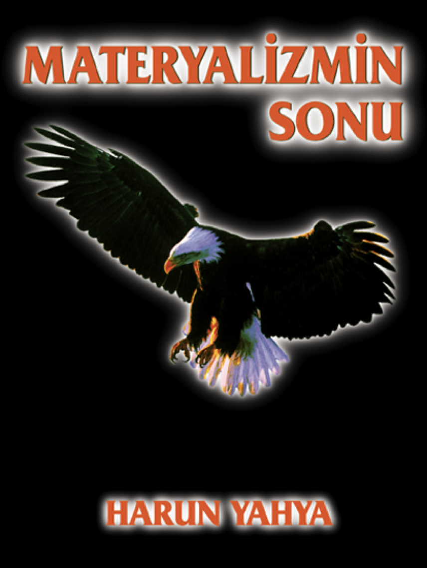 Materializmin Sonu