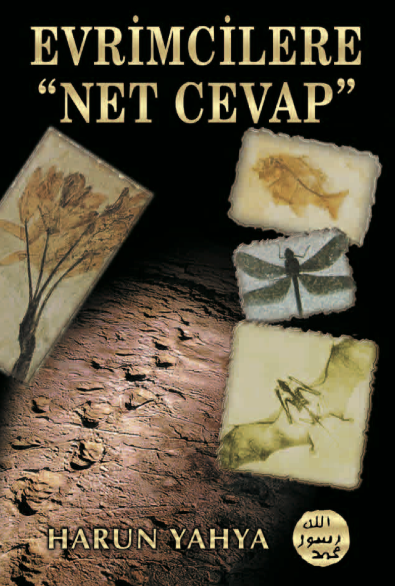 Evrimcilere Net Cevap 1