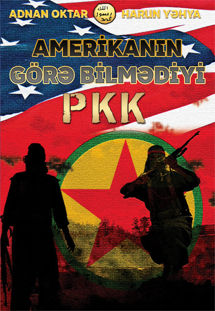 Amerikanın Görə Bilmədiyi PKK