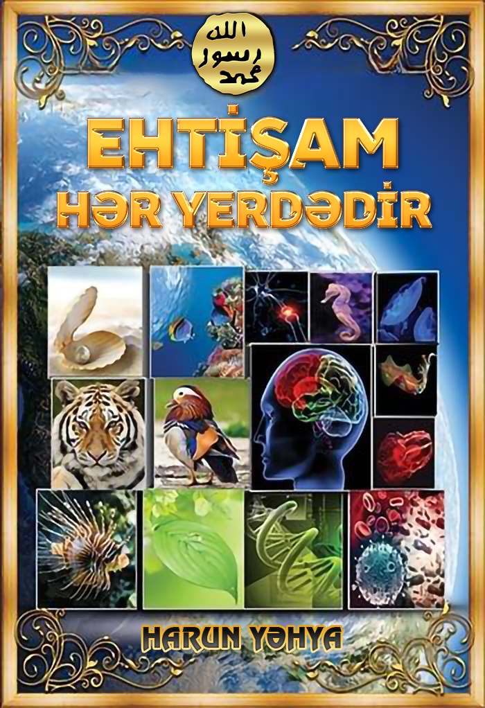 Ehtişam Hər Yerdədir