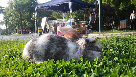 Kültür Park-Bursa/28 Haziran-7 Temmuz 2016