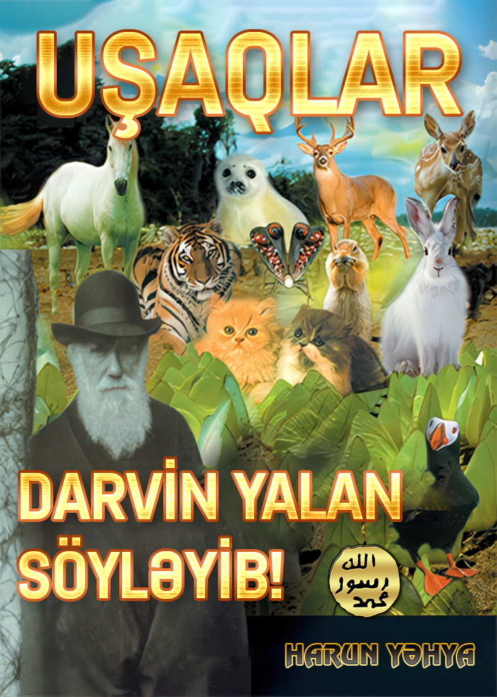 Uşaqlar, Darvin Yalan Söyləyib!