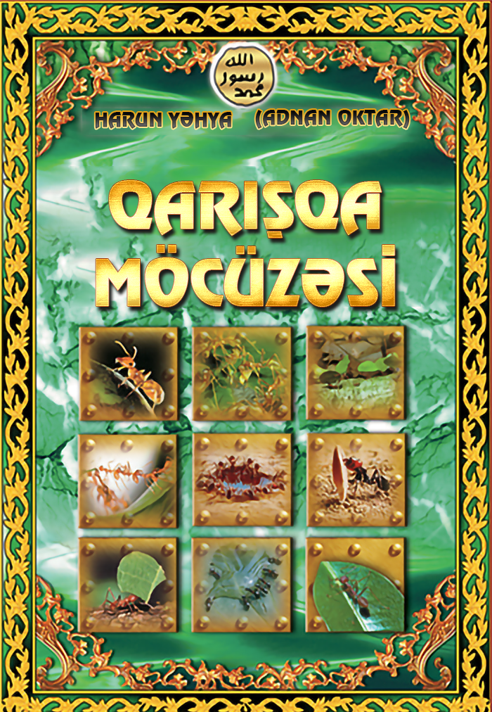 Qarışqa Möcüzəsi