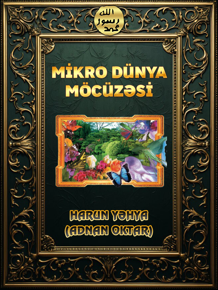 Mikro Dünya Möcüzəsi