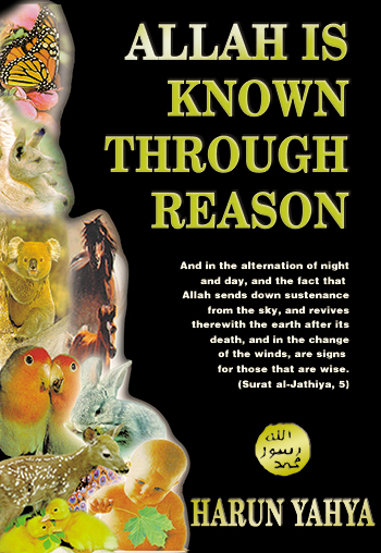 Allah Is Known Through Reason-Burmese