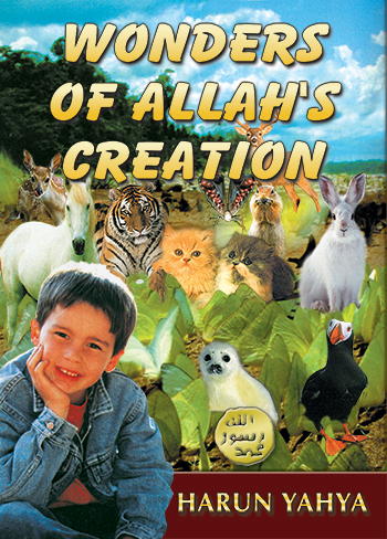 Los Milagros De La Creación De Dios