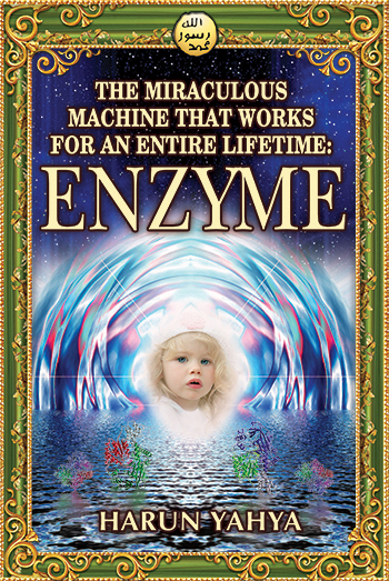 The Miraculous Machine That Works For An Entire Lifetime: Enzyme - URDU LANGUAGE