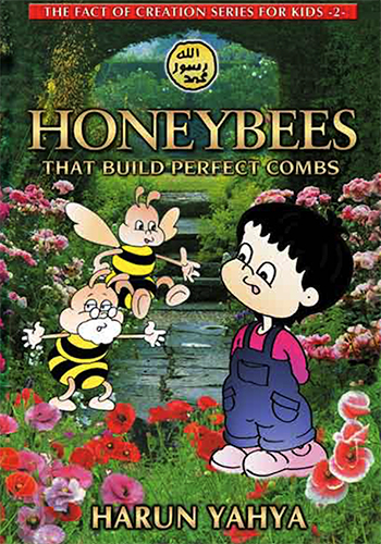 Honeybees That Build The Perfect Combs-THAI