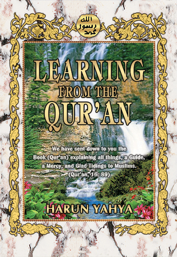 The Holy Qur'an - Bengali
