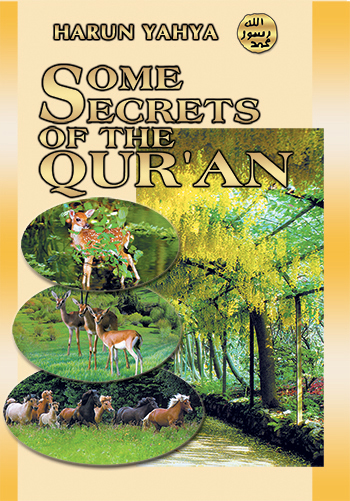 Bebarapa Rahasia Al-qur’an