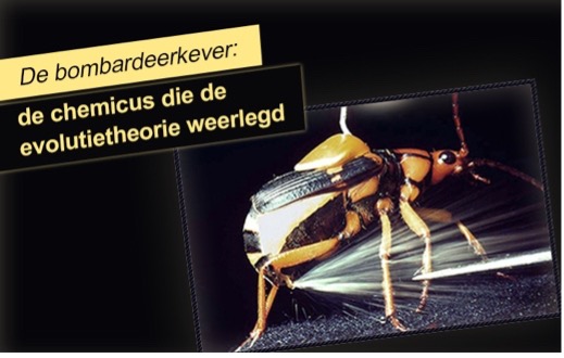 De bombardeerkever: de chemicus die de evolutietheorie weerlegd