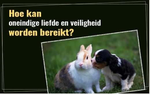 Hoe kan oneindige liefde en veiligheid worden bereikt?