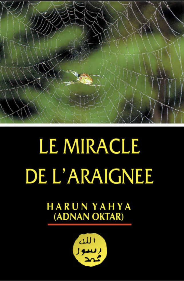 Le Miracle De L'araignee