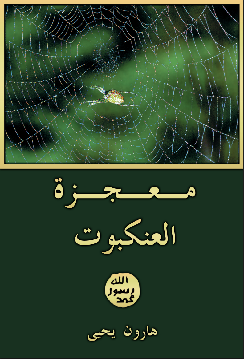 مـعـجــزة العنكبوت