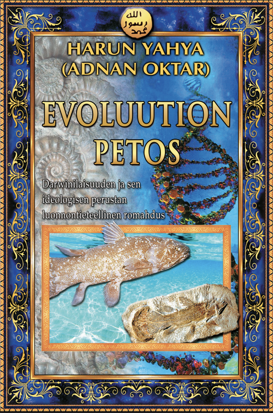 Evoluution Petos