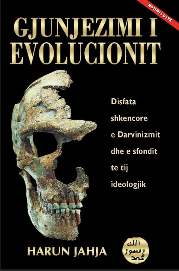 Gjunjezimi I Evolucionit