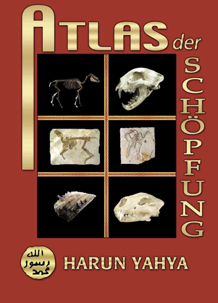 Atlas der Schöpfung Band 1
