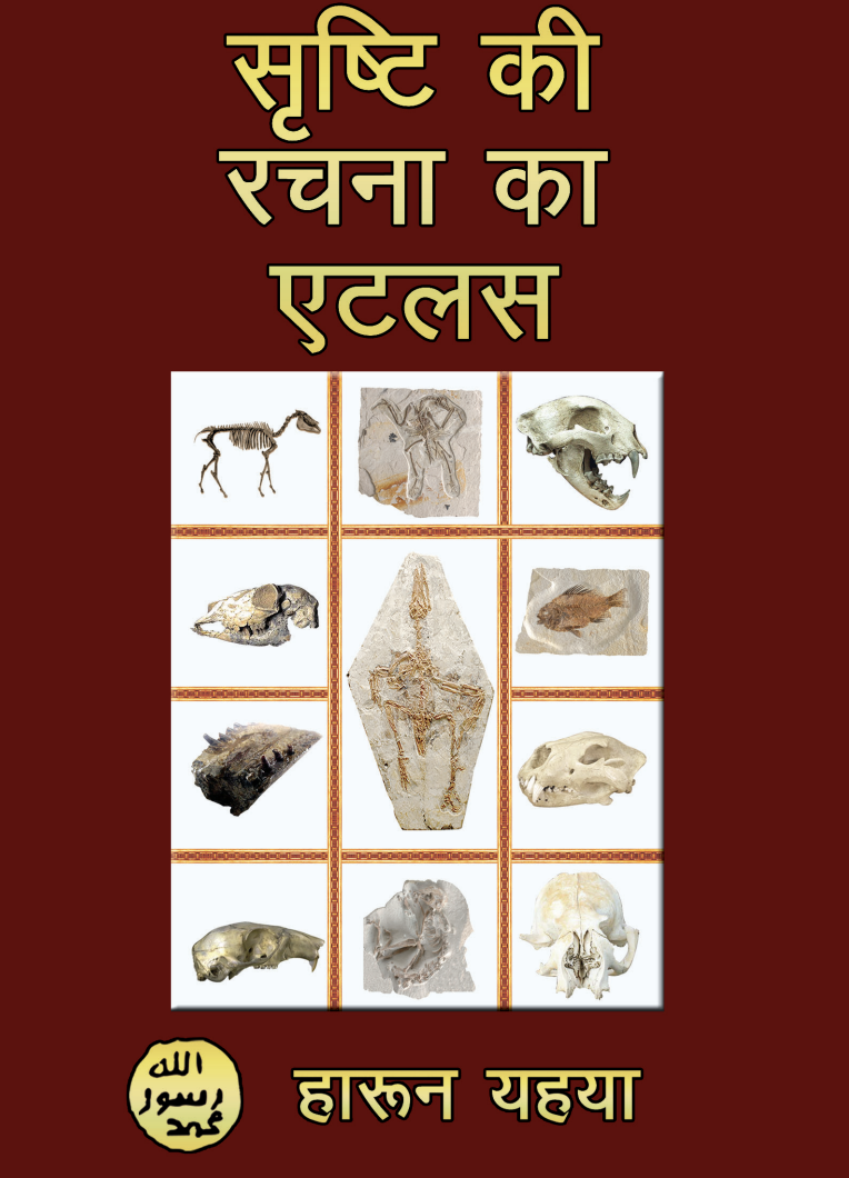 Atlas of Creation-Vol.1_HINDI