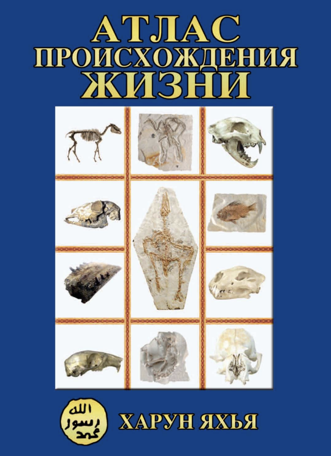 Атлас Происхождения Жизни Том.1
