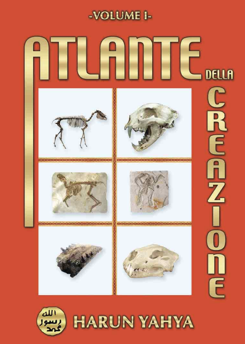 Atlante della Creazione-Vol.1