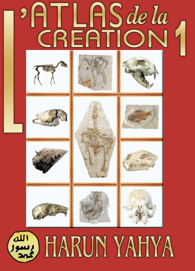 L'atlas De La Creation - Vol.1