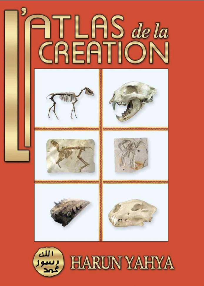 L'atlas de la Creation-Vol.2