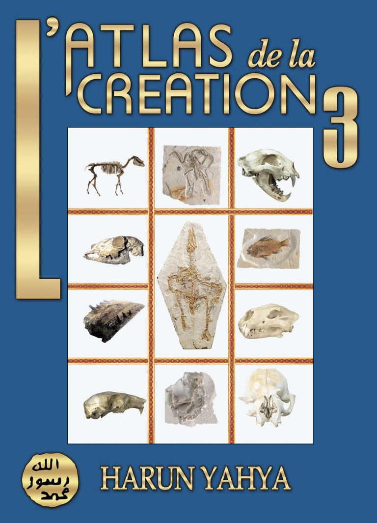 L'atlas De La Creation-Vol.3