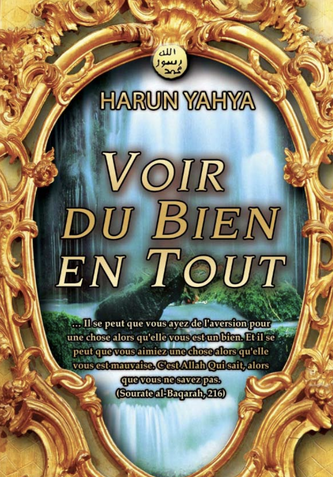 Voir Du Bien En Tout