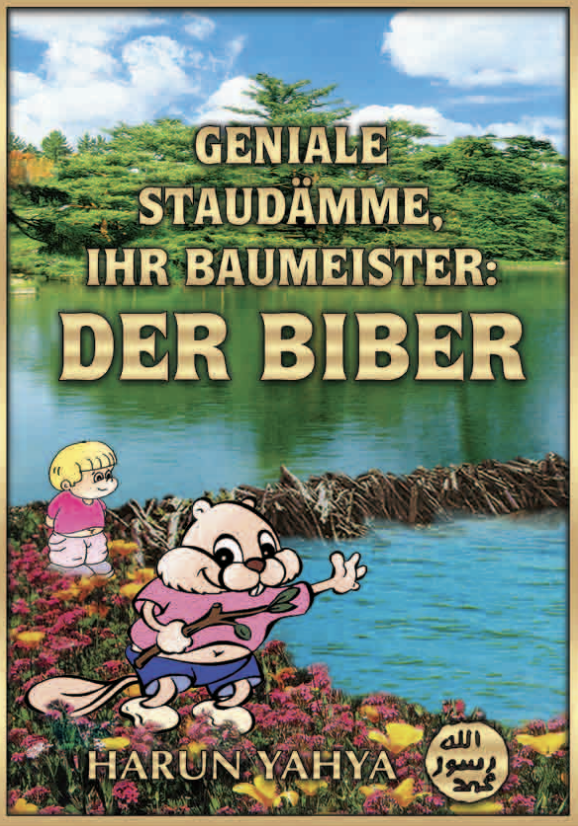Geniale Staudamme, Ihr Baumeister : Der Biber