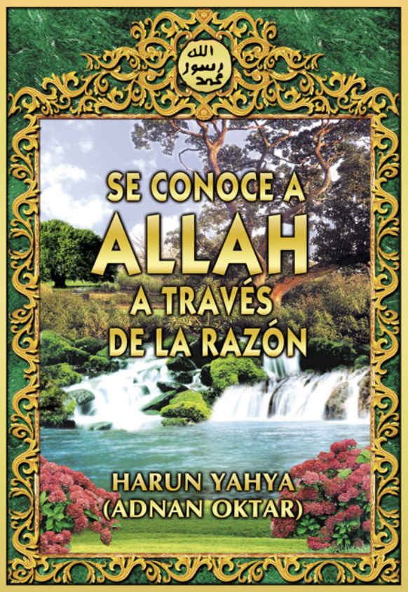 Se Conoce a Allah a Través de la Razón