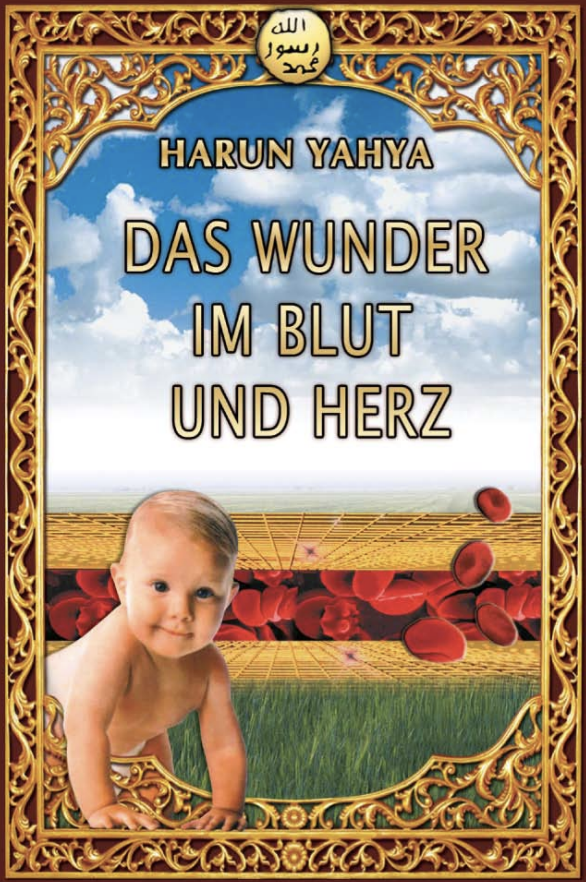 Das Wunder im Blut und Herz