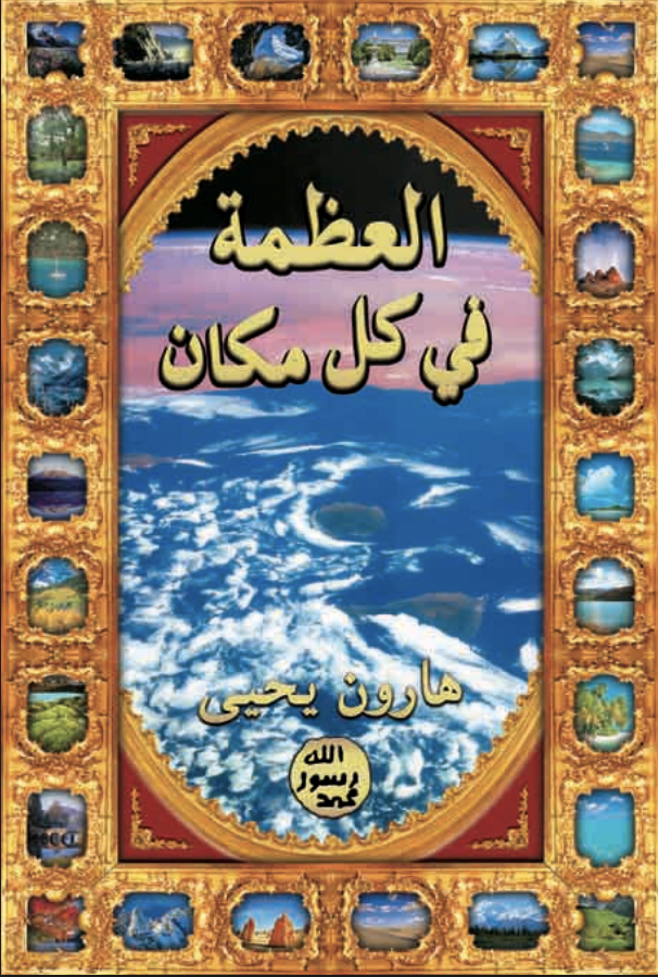 الروعة في كل مكان