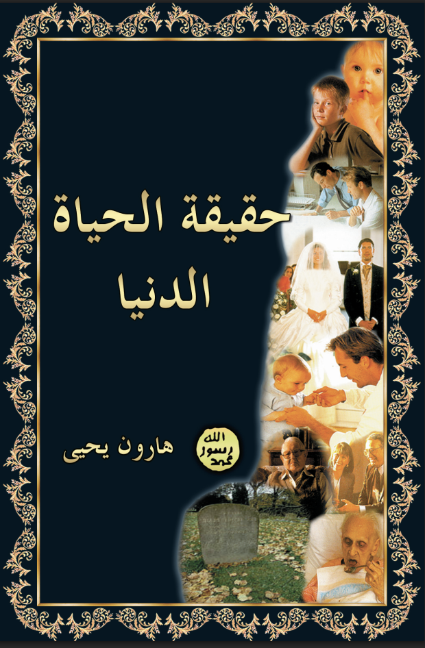حقيقة الحياة الدنيا