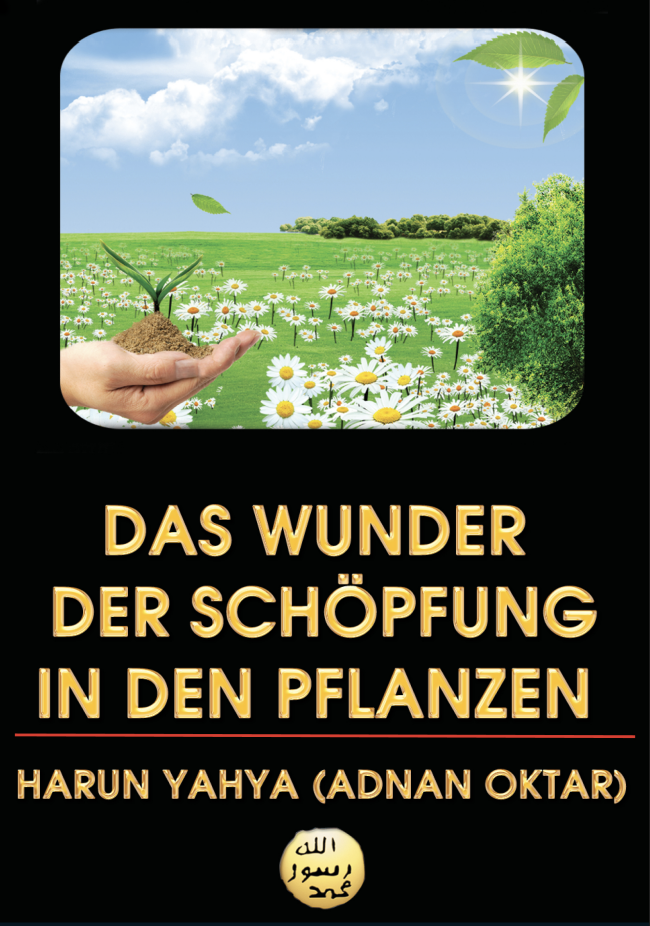 Das Wunder der Schöpfung in den Pflanzen
