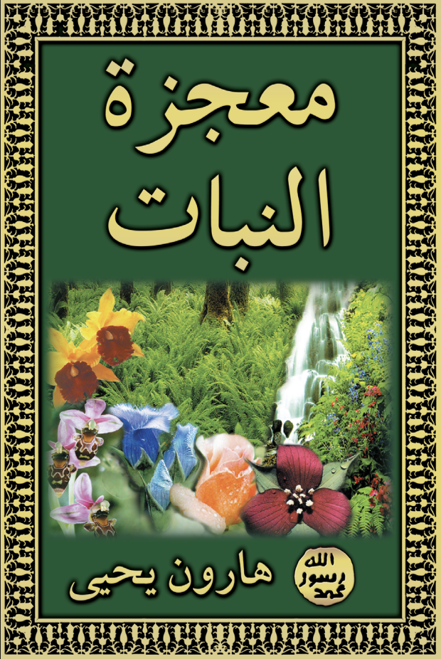 معجزة النبات