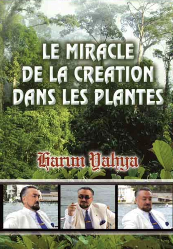 Le Miracle De La Creation Dans Les Plantes