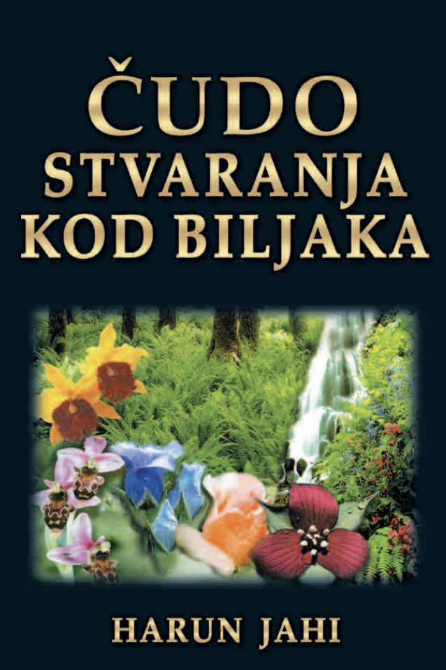 Čudo Stvaranja Kod Biljaka