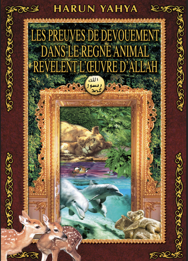 Les Preuves de Devouement Dans le Regne Animal Revelent L’œuvre d’Allah